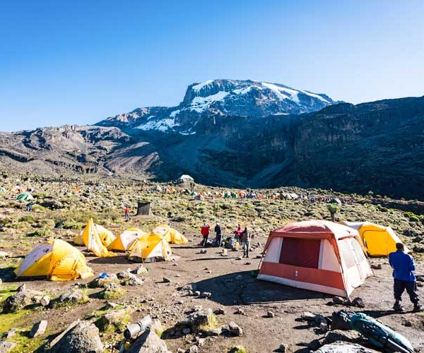 Lemosho / Shira Route - 7 to 8 Days Kilimanjaro Climbing