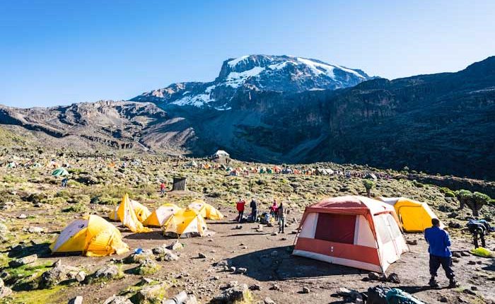 Lemosho / Shira Route - 7 to 8 Days Kilimanjaro Climbing
