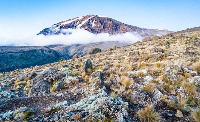 Rongai Route - 6 to 7 Days Kilimanjaro Climbing