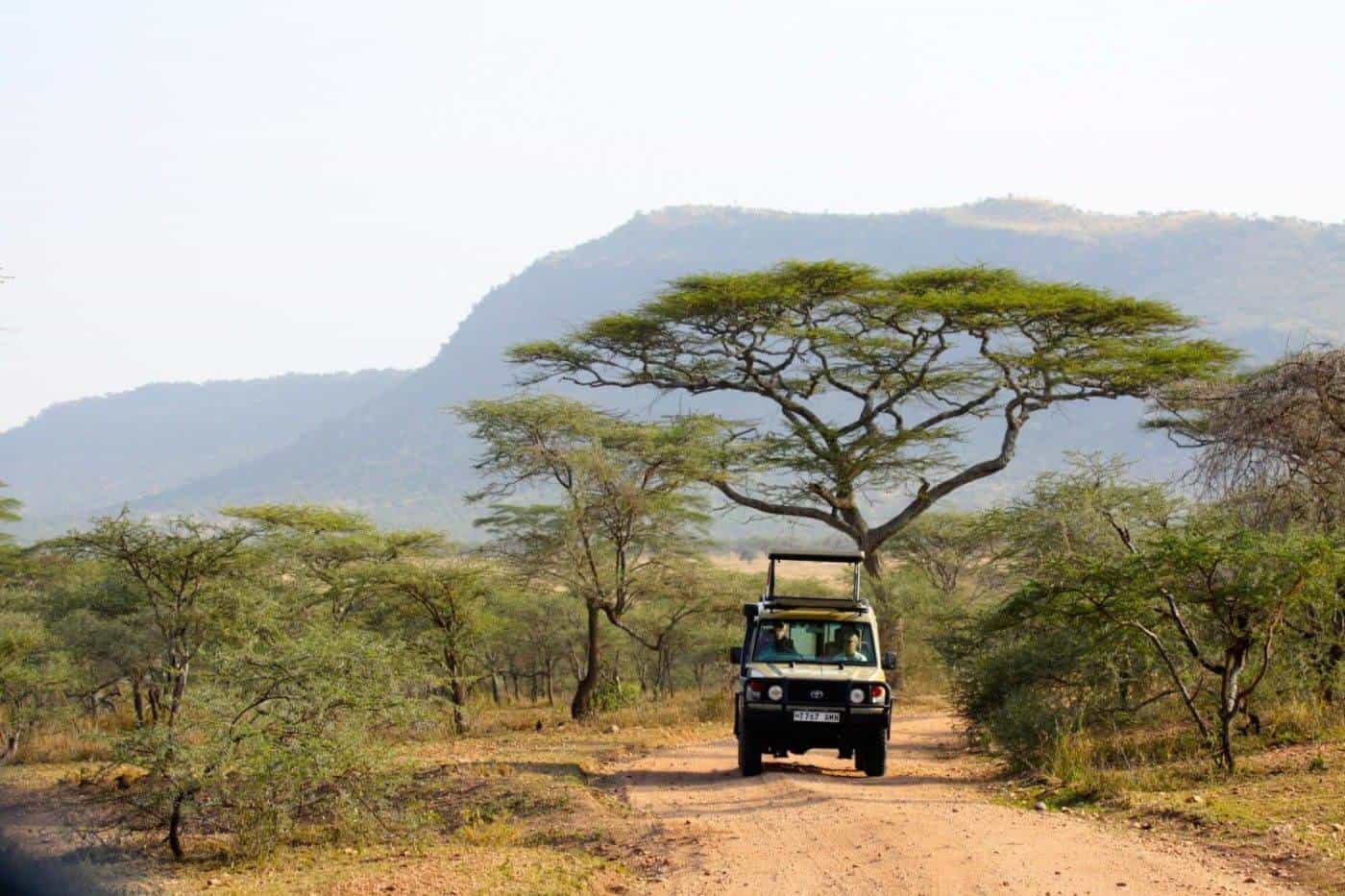 air safaris and tours to Serengeti