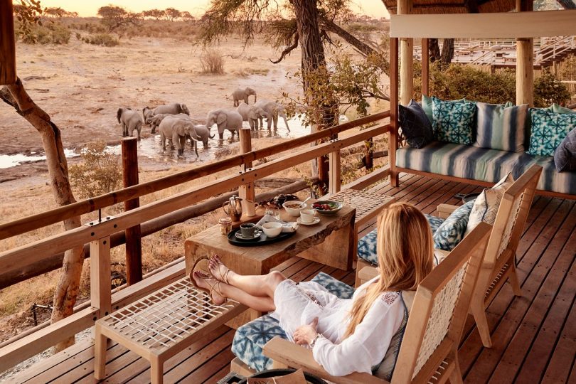 Luxury safari accommodations-Reasons Why Tanzania Is the Best Safari Country