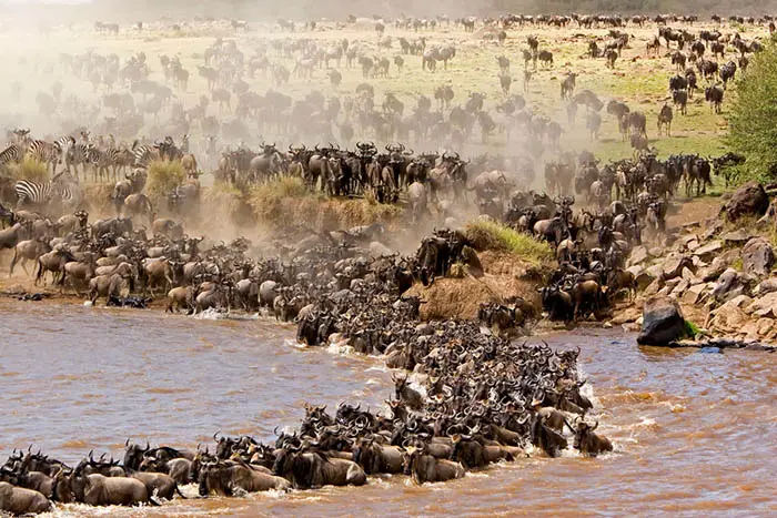 Tanzania – The Land of the Great Migration