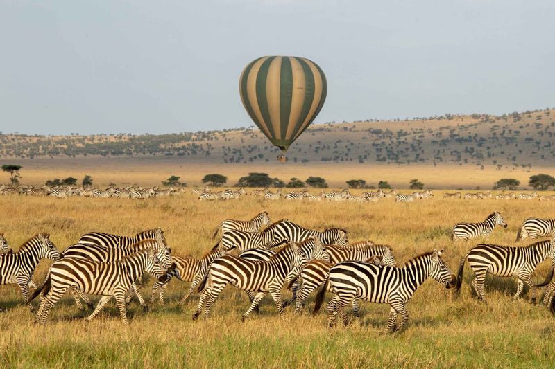 Was geschieht während der Großen Gnu-Wanderung in der Serengeti?