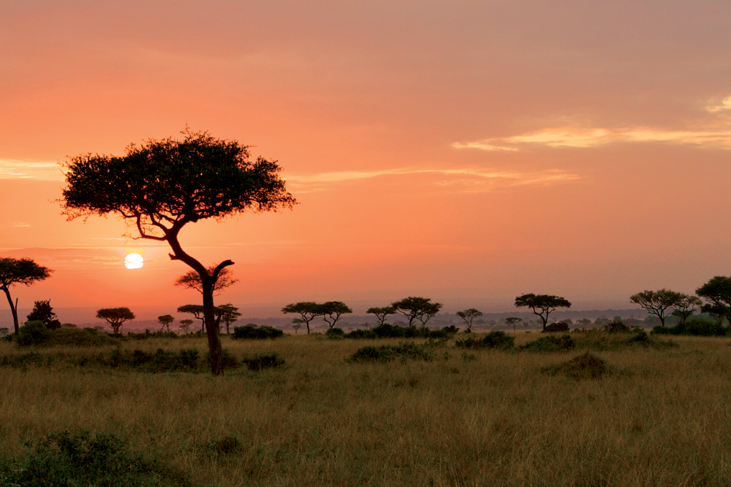 africa-tanzania_sunset-over-serengeti-national-park_stock_2240x1260.png