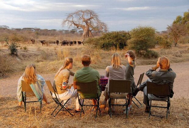Best Time to Visit Tanzania for Safari
