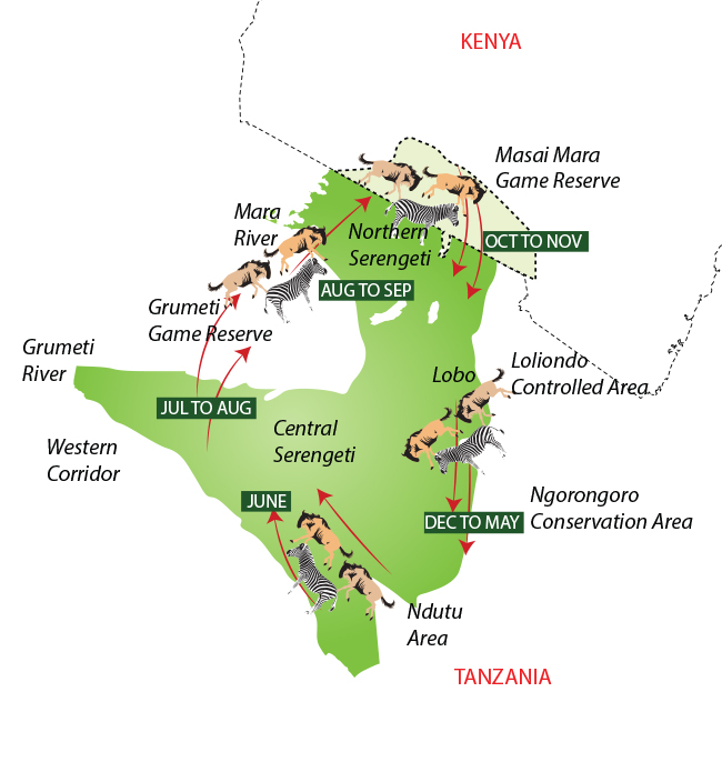 Great Migration in Serengeti Map