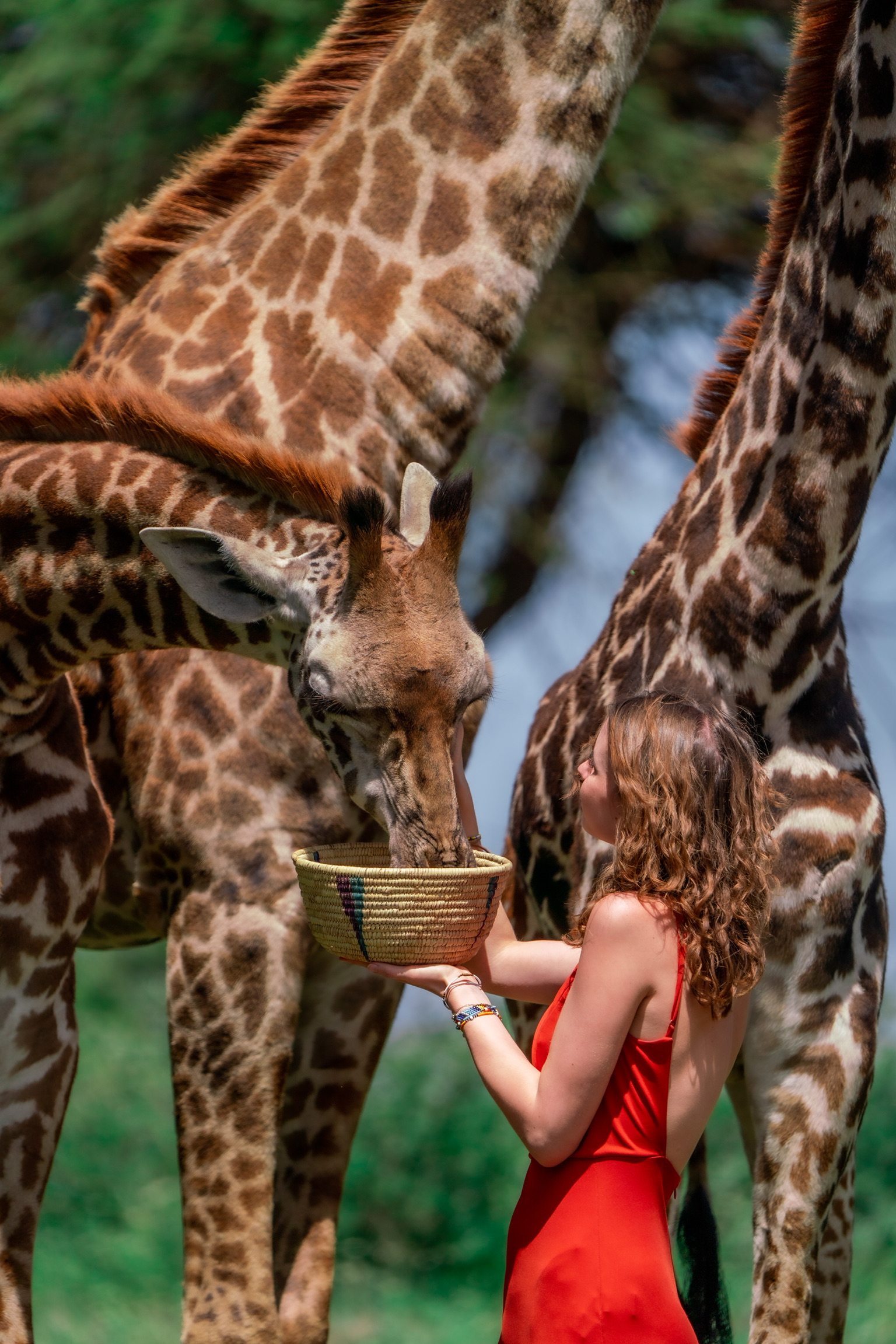 11-Day Honeymoon Safari and Serval Wildlife Sanctuary Trip