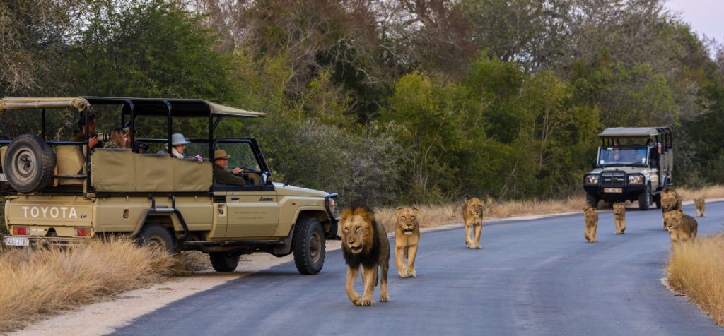 Accessibility and Infrastructure-Tanzania Safari vs South Africa Safari