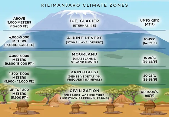 Mount Kilimanjaro's Climate Zones