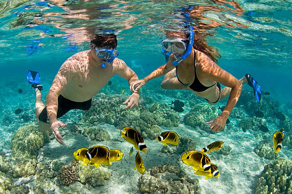 Snorkeling and Diving Zanzibar Honeymoon