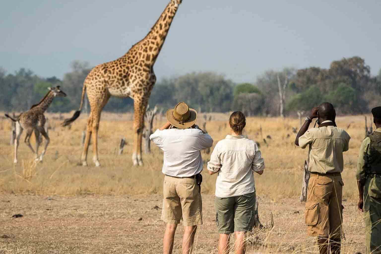 Walking Safari - Arusha national Park