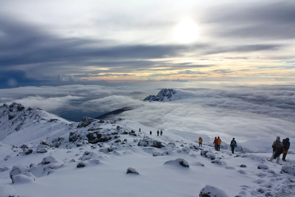 Which Famous Celebrities Have Climbed Mount Kilimanjaro?