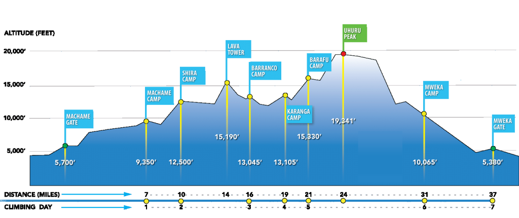 7 Days Machame Route Kilimanjaro Climbing