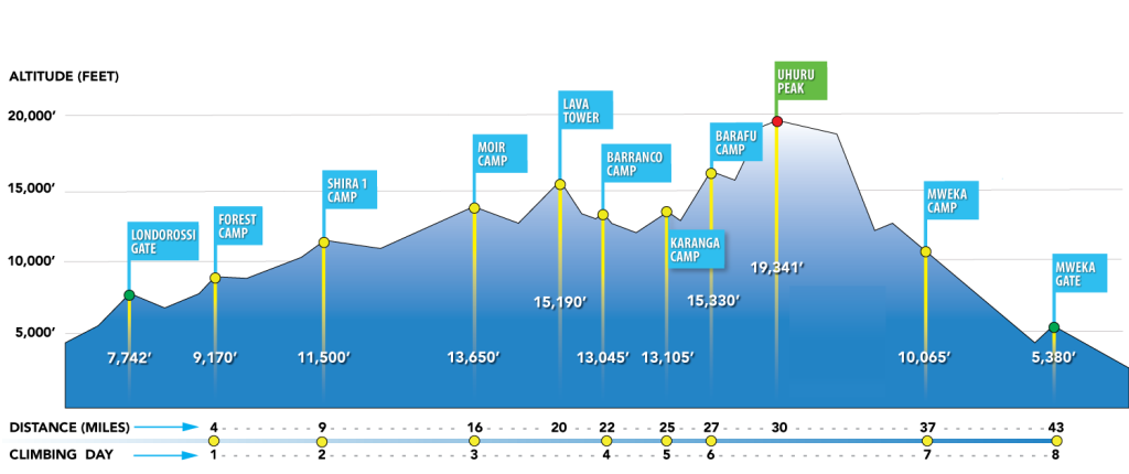 8 Days Lemosho Route Kilimanjaro Climbing