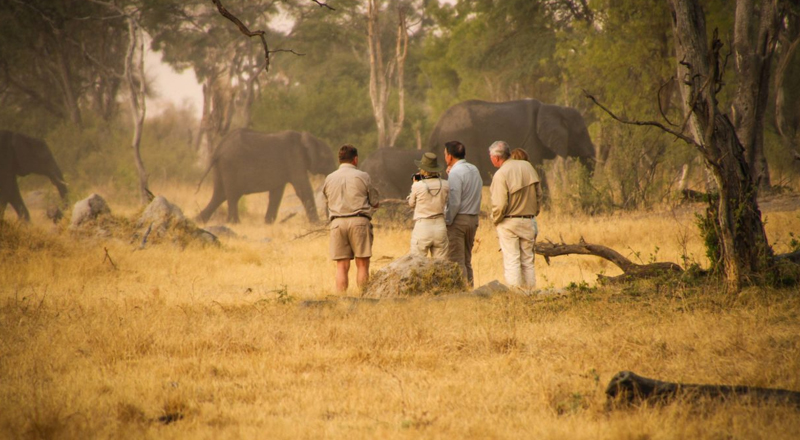 Safari en Familia en Tanzania