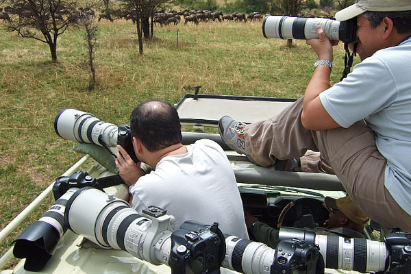 Serengeti Photographic Safari: Capturing the Wild Beauty