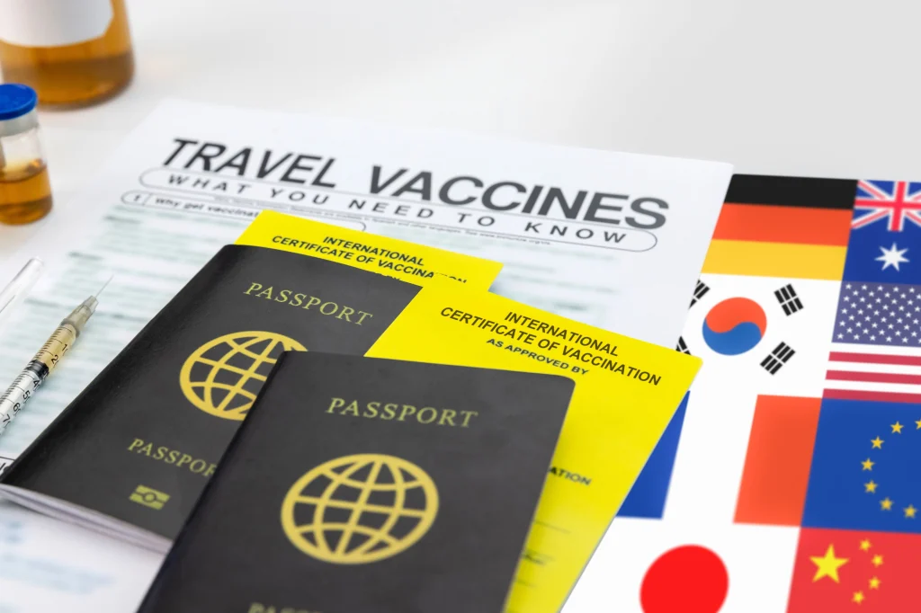 What Vaccines Are Required for Travel in Tanzania?