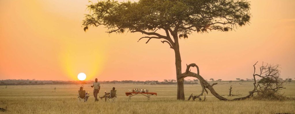 7 Day Tanzania Luxury Safari