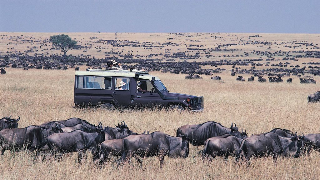 Safari de 7 días en Tanzania y gran migración