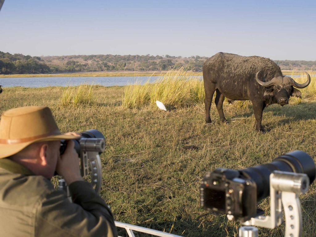 Safari photographique en Tanzanie avec des guides locaux
