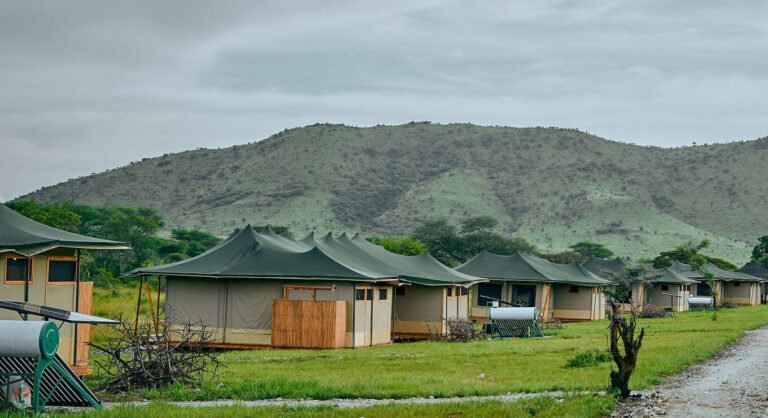 Land-of-Nature-Camp_AMY7062-2-e1742915174499