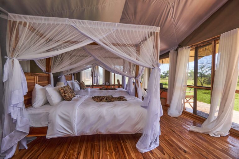 Land-of-Nature-Camp_AMY8617