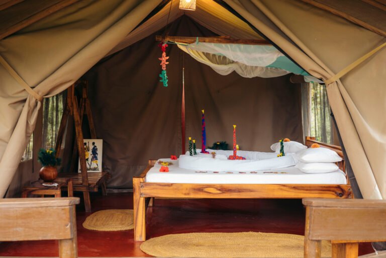 155_migunga7_53359462829_o