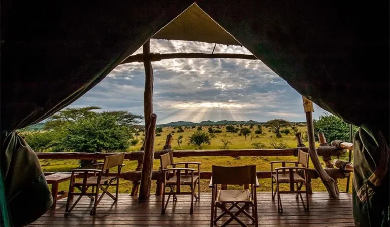 1748198661_cc2f27ffc801bcdf71c6