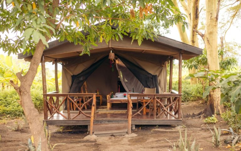 19_53358252257_430195a273_o