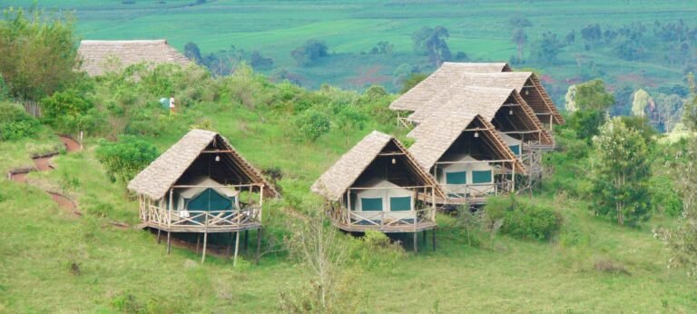 470373_411971712174748_1976761143_o