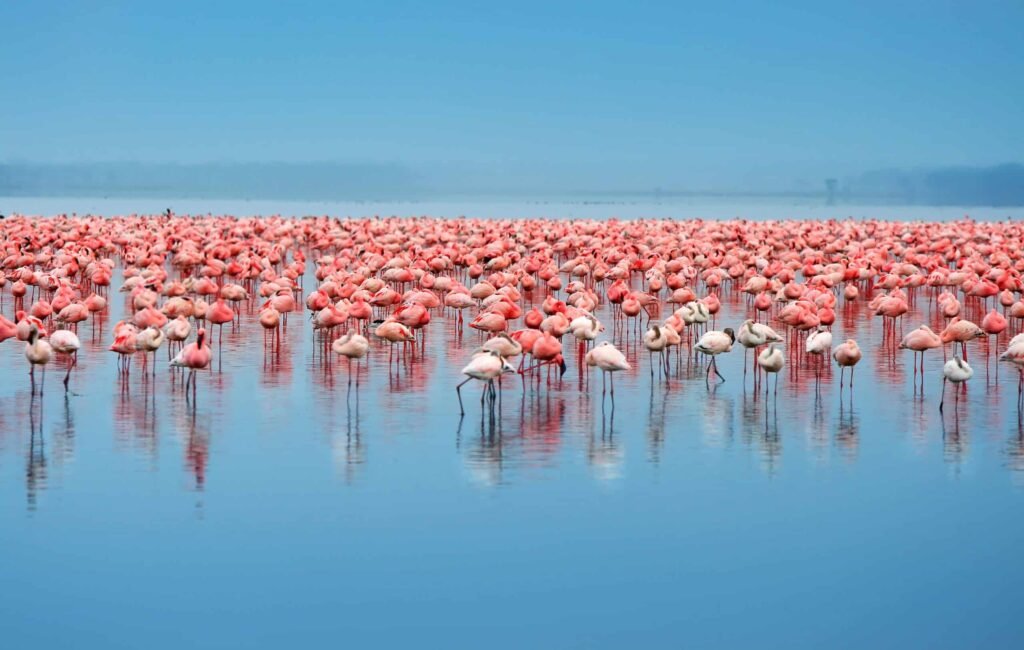 Lake Eyasi