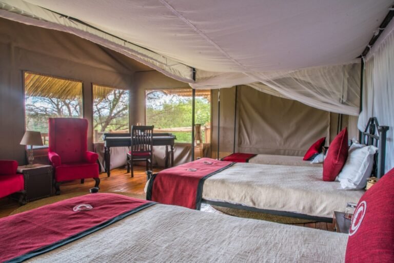 imgi_55_NFTL-37-1024x683