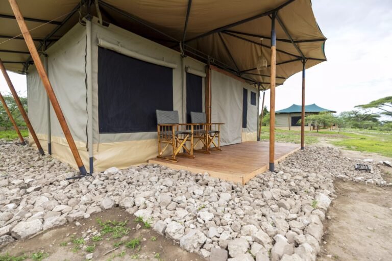 ndutu-serengeti-safari-haven-49-1-scaled