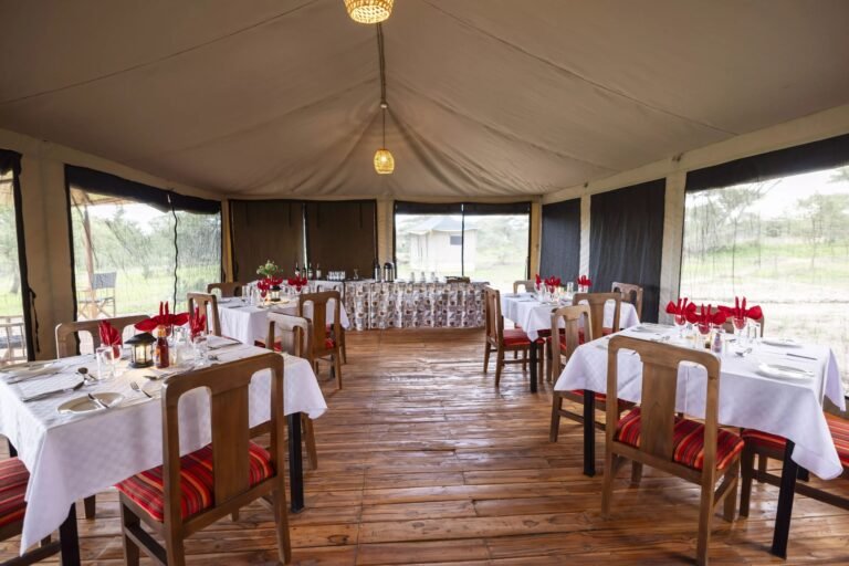 ndutu-serengeti-safari-haven-65-scaled