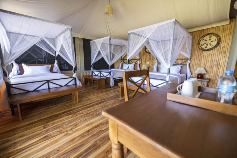 ndutu-serengeti-safari-haven-86-scaled