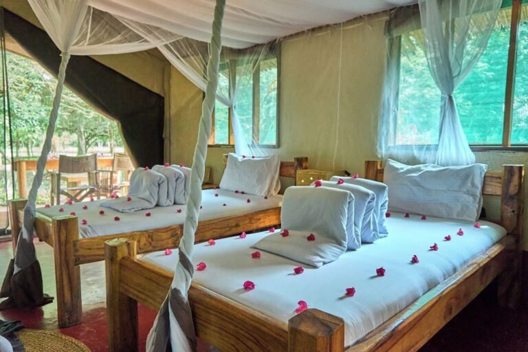 w2048h1360x0y88-4534a2bc