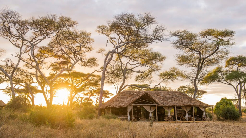 Tarangire Kuro Treetops Lodge