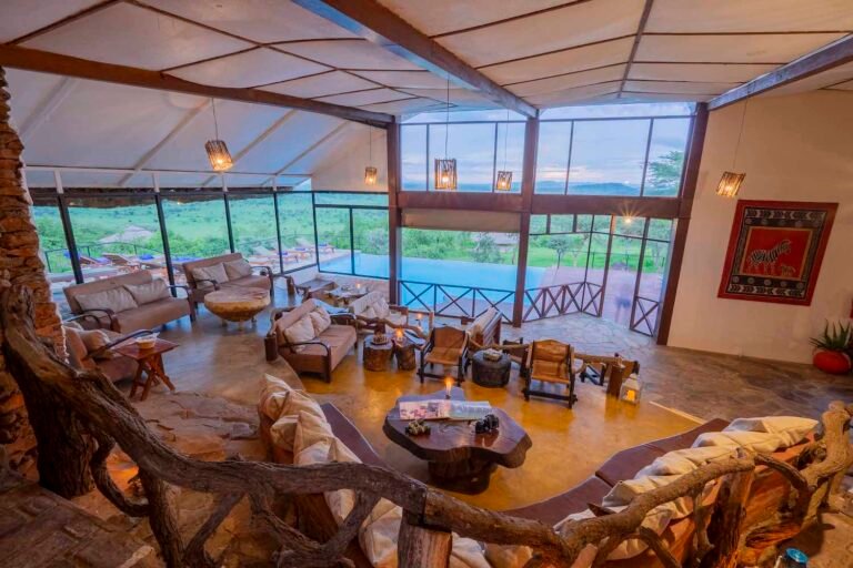 Serengeti-Simba-Lounge-32