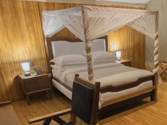 safari-haven-25-1-e1731343588777-780x1117-640x480_c-1