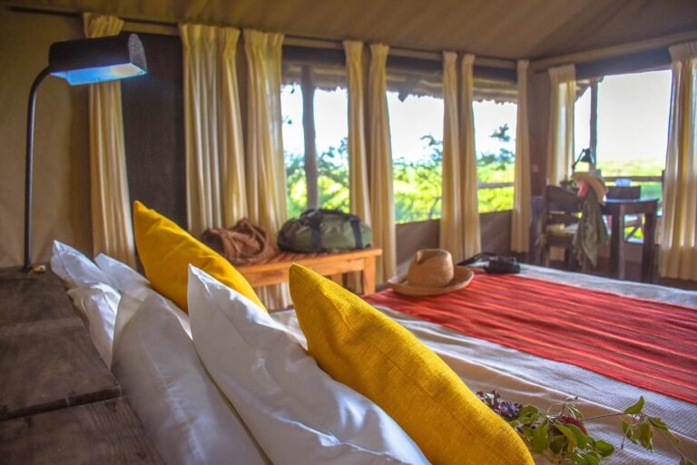 tarangire-sangaiwe-tented-camp-tanzania-safari-frank7