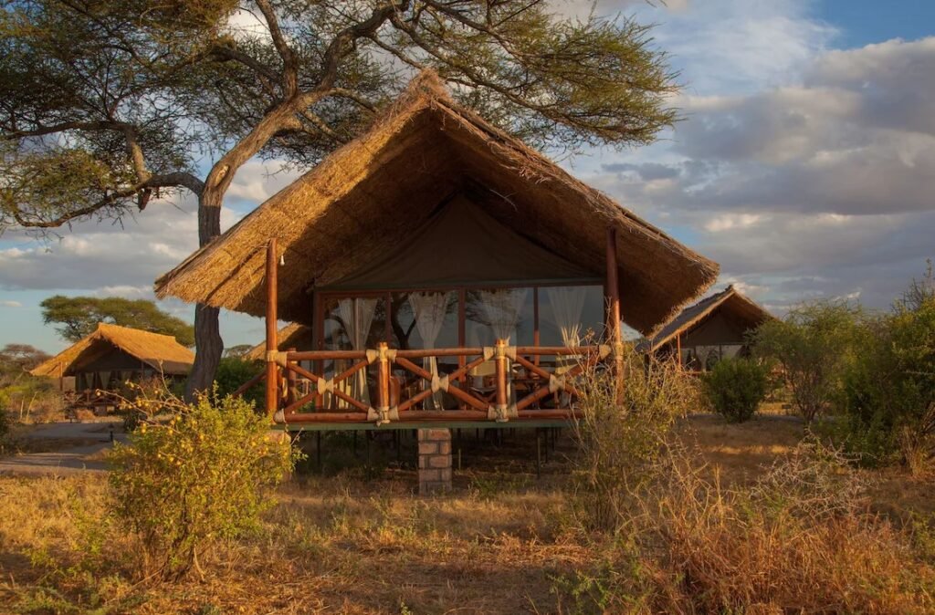 Tarangire Simba Lodge